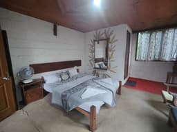 Jungle Jive Tree House - Image 2
