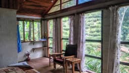 Jungle Jive Tree House - Image 3