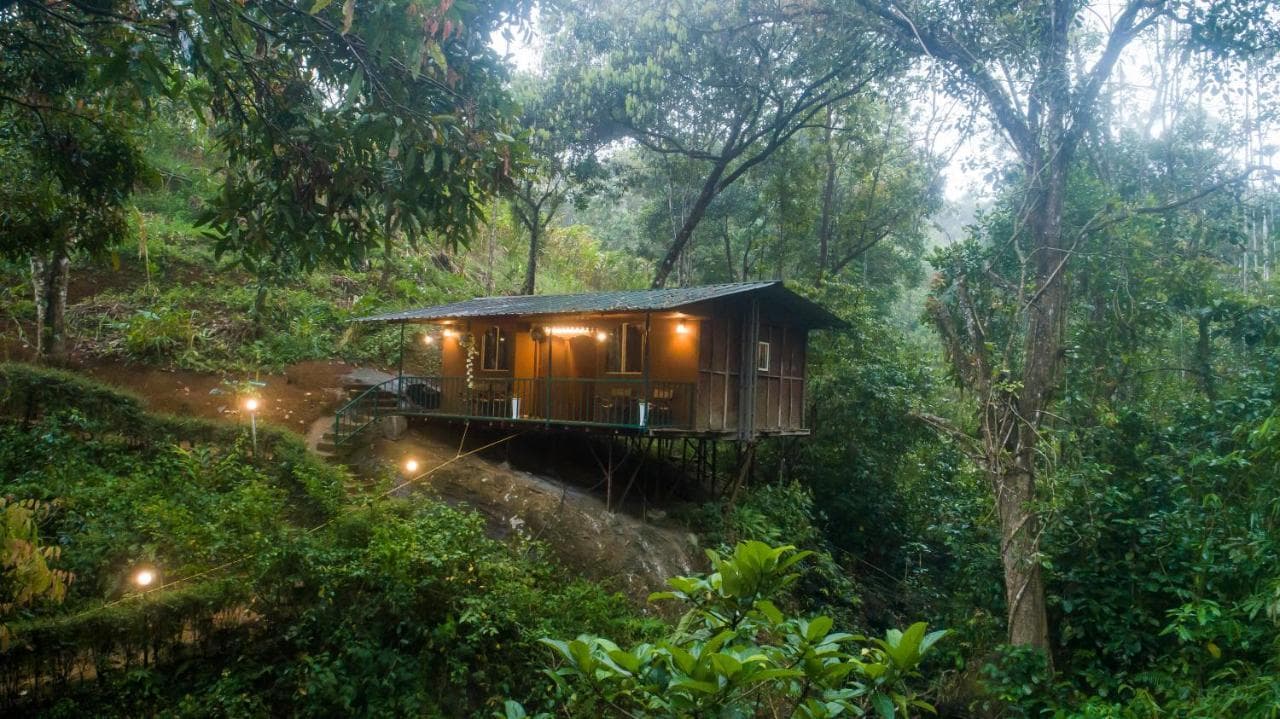 Tree House at Ela Ecoland Munnar