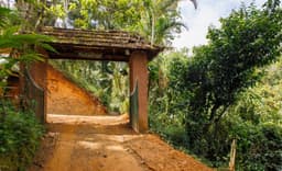 Tree House at Ela Ecoland Munnar - Image 4