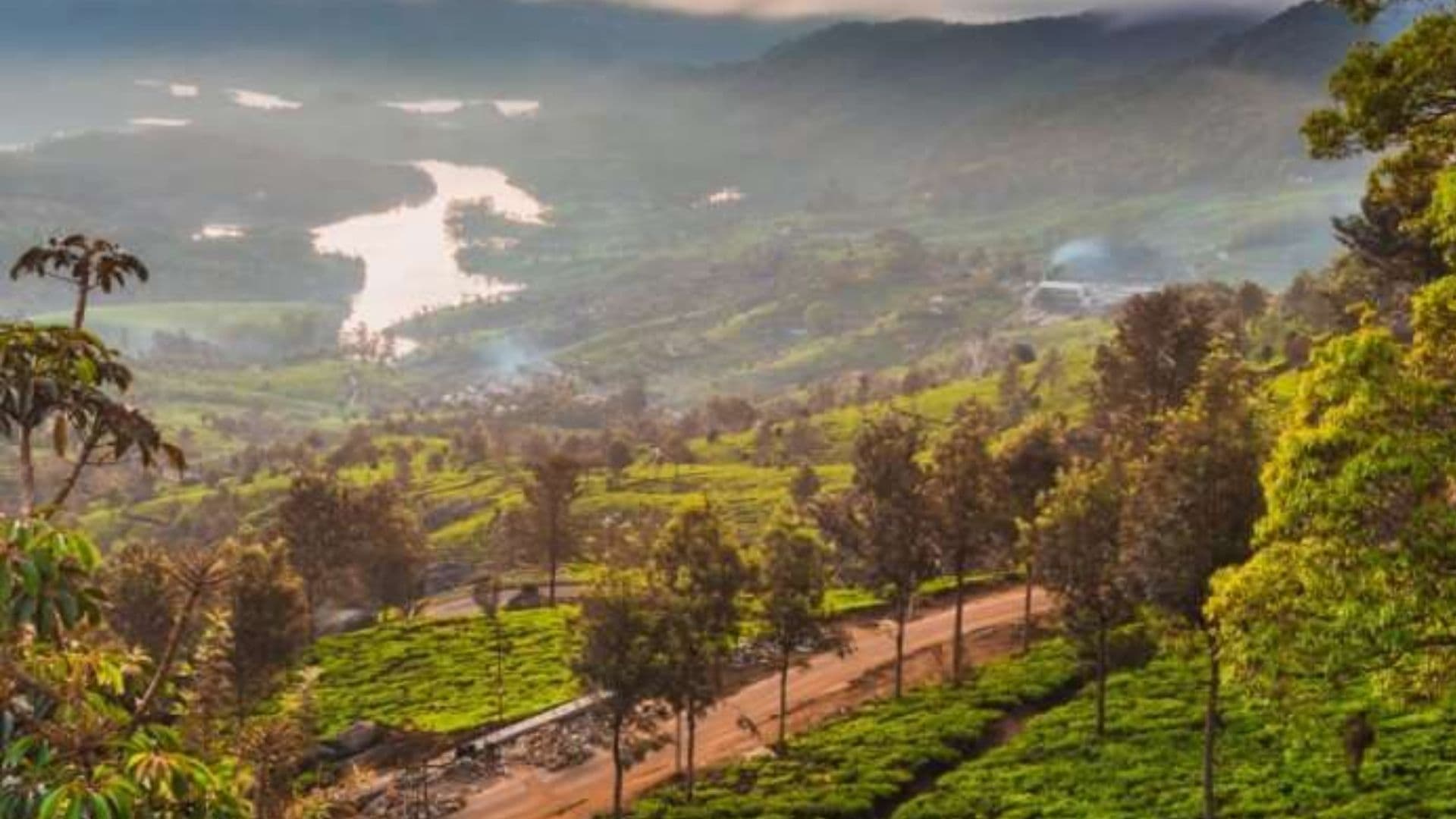 Aranyaka Resorts Aranyaka View in Aranyaka Resorts, Munnar, Kerala