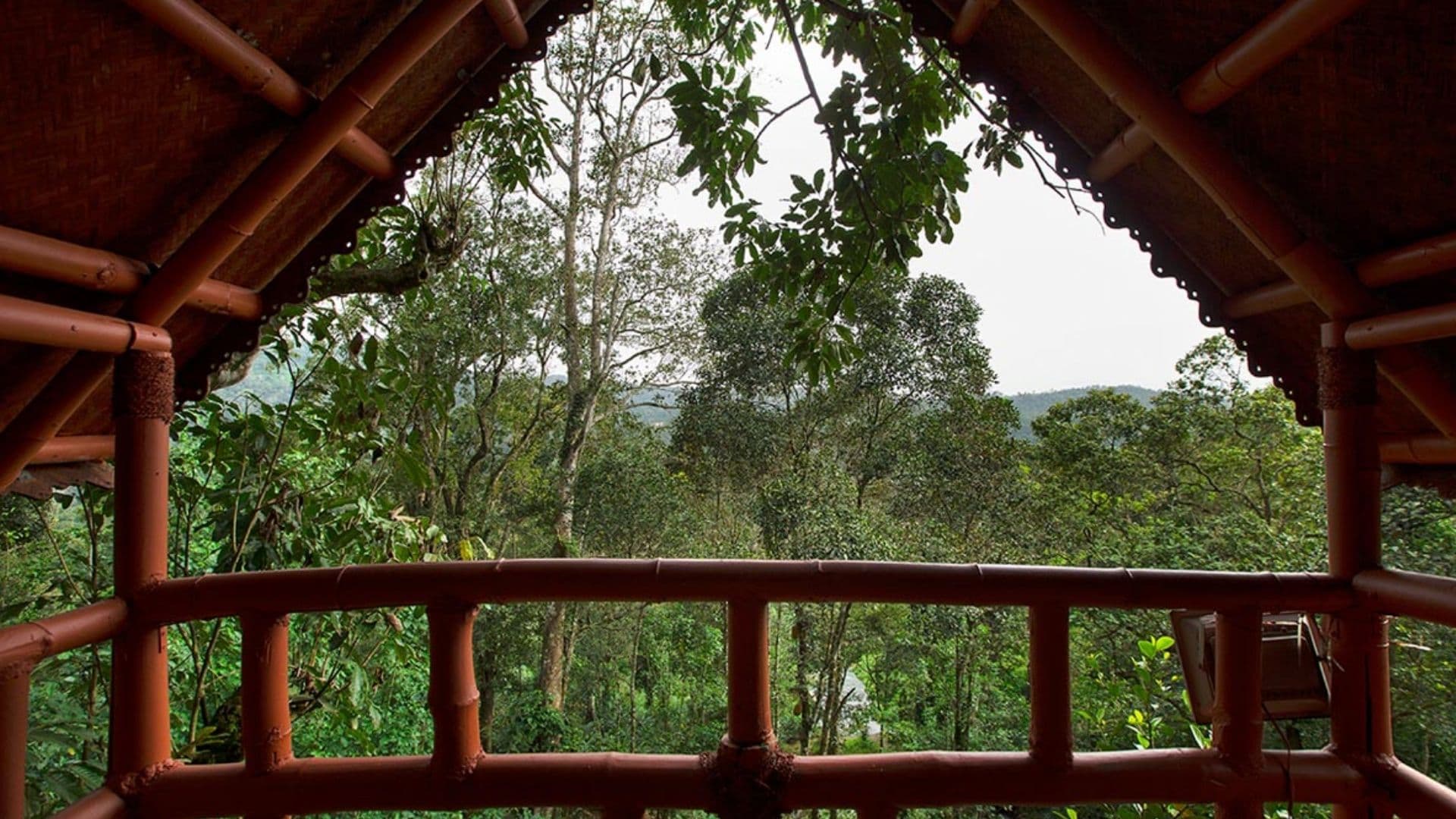 Bamboo Dale Munnar Images Bamboo Dale Treehouse in Bamboo Dale Munnar Images, Munnar, Kerala
