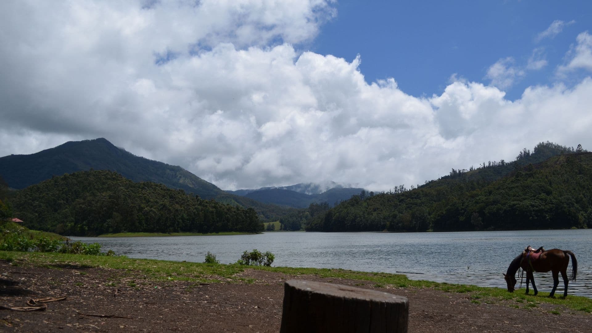 Kundala Lake Photos Views Kundala Dam in Kundala Lake photos & Views, Munnar, Kerala