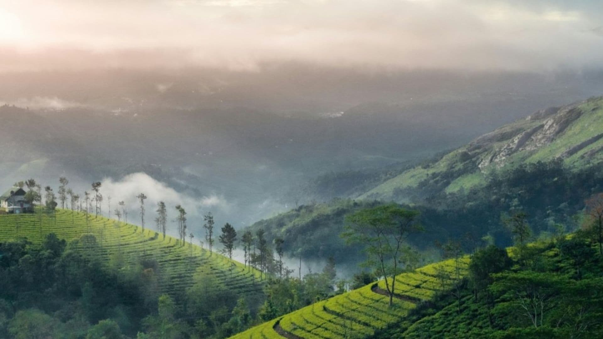 Munnar Gap Road View Point Gap Road View in Munnar Gap Road View Point, Munnar, Kerala