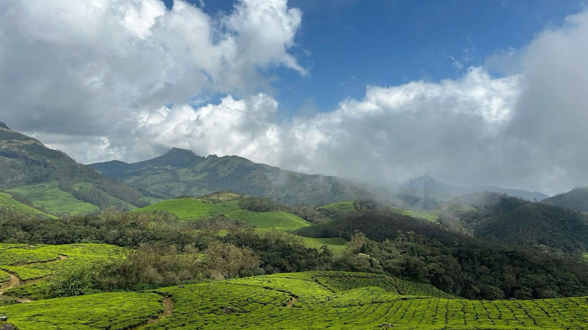 Munnar Rose Garden Images Munnar Garden View in Munnar Rose Garden Images, Munnar, Kerala