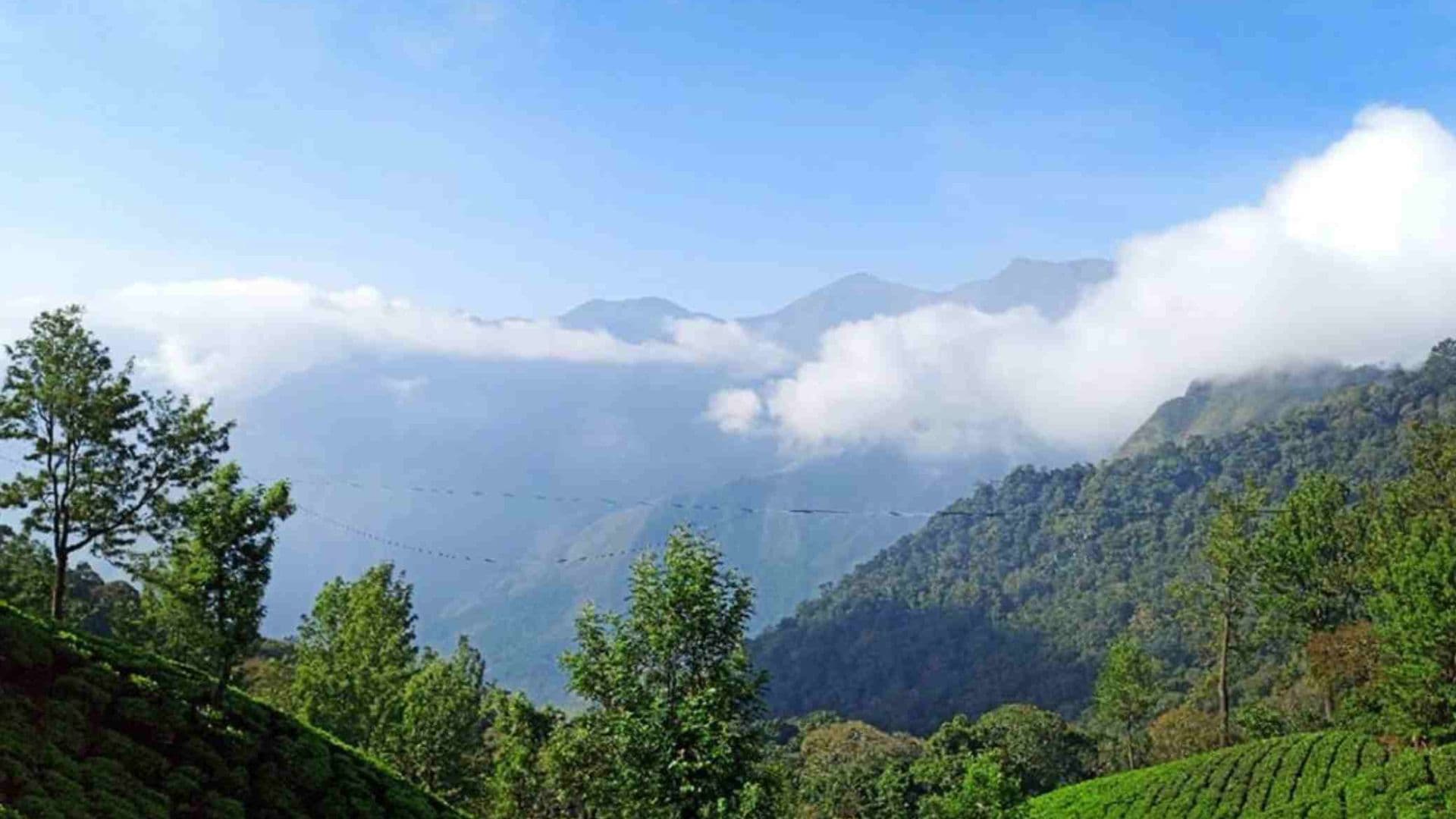 Munnar Top Station Images Munnar Top Station View in Munnar Top Station images, Munnar, Kerala