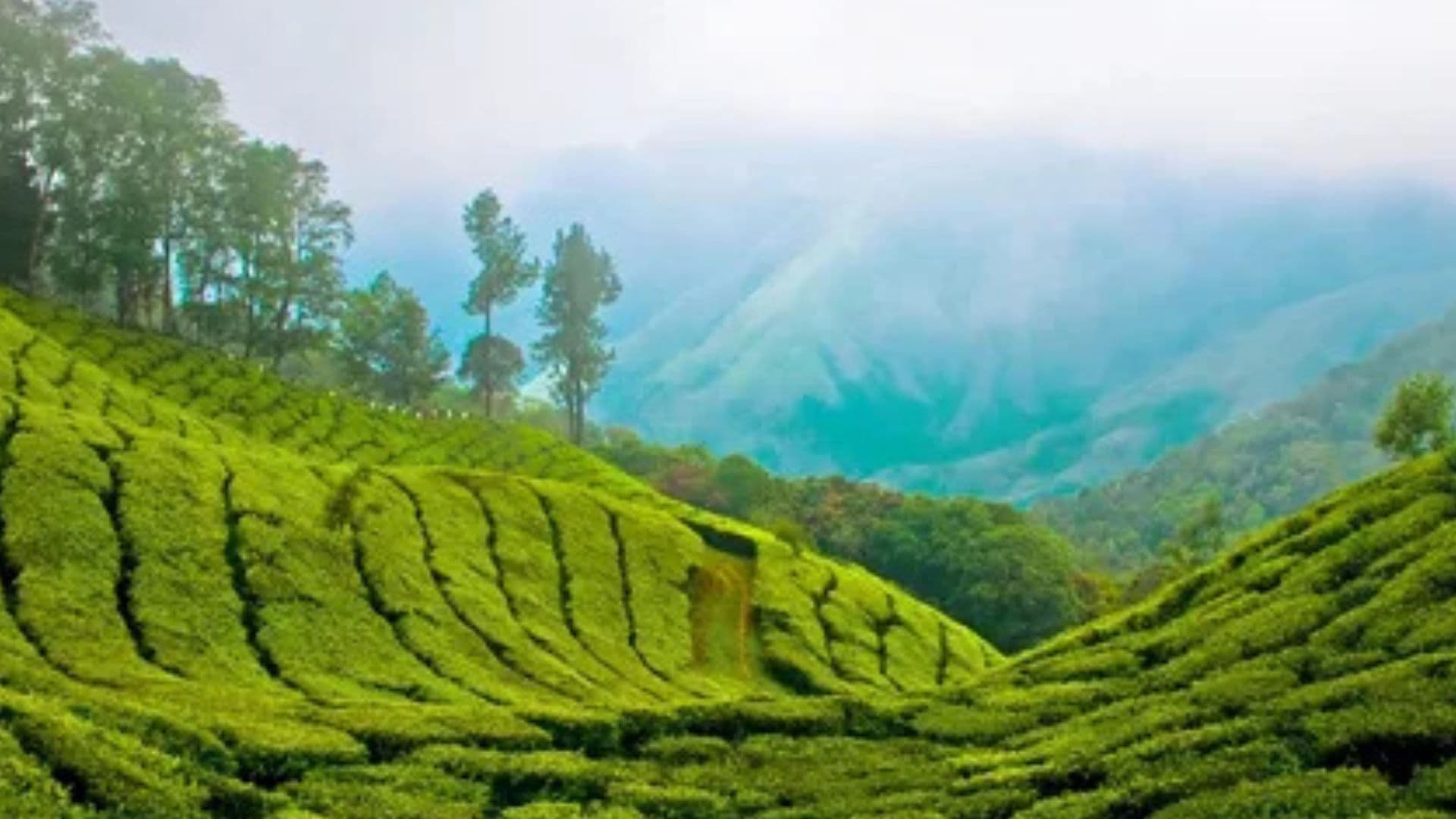 Munnar Top Station Images Top Station View in Munnar Top Station images, Munnar, Kerala