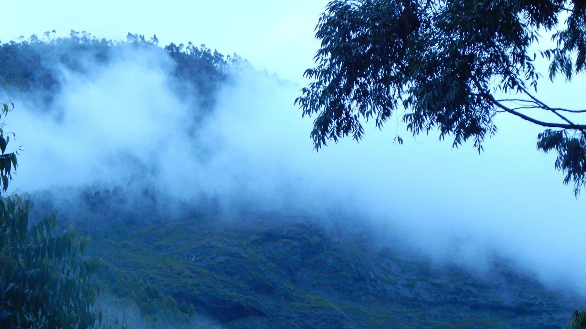 Munnar Vattavada Images Munnar Vattavada Fogg in Munnar Vattavada Images, Munnar, Kerala