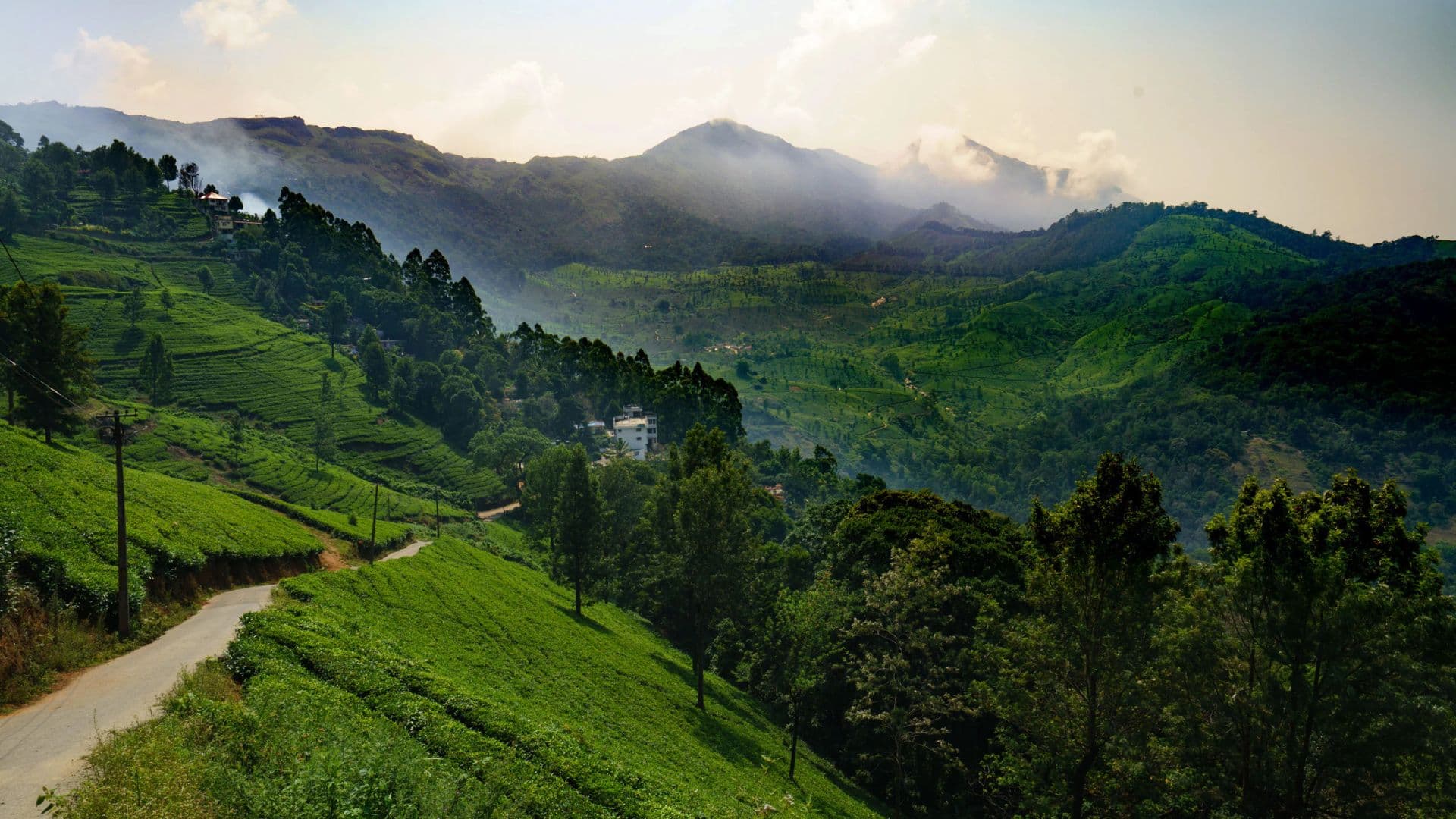 Munnar Vattavada Images Munnar Vattavada Nature in Munnar Vattavada Images, Munnar, Kerala