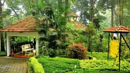 Tall Trees Resort Munnar - Image 8