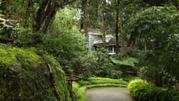 Tall Trees Resort Munnar - Image 6