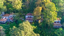 Tall Trees Resort Munnar - Image 9