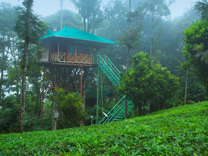 Dream Catcher Plantation Resort