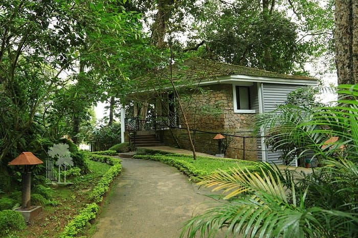 Tall Trees Resort Munnar
