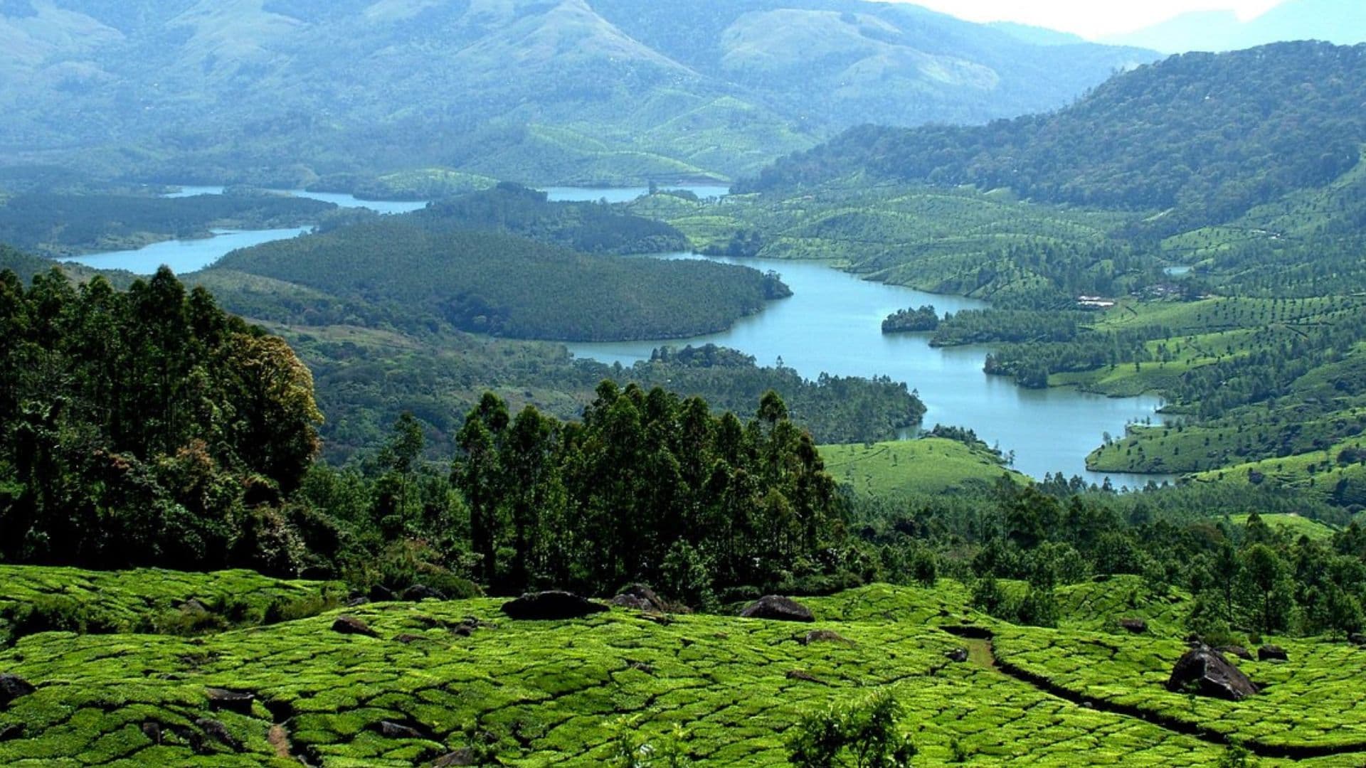 Munnar Chokramudi Peak Images Chokramudi Peak Munnar Chokramudi Peak Images Chokramudi Peak in Munnar Chokramudi Peak Images, Munnar, Kerala