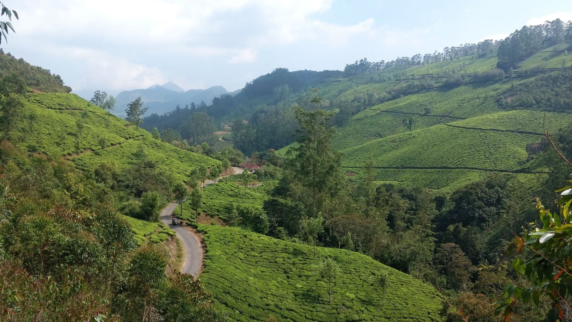 Munnar Gap Road View Point Lockhart Gap Road View Munnar Gap Road View Point Lockhart Gap Road View in Munnar Gap Road View Point, Munnar, Kerala