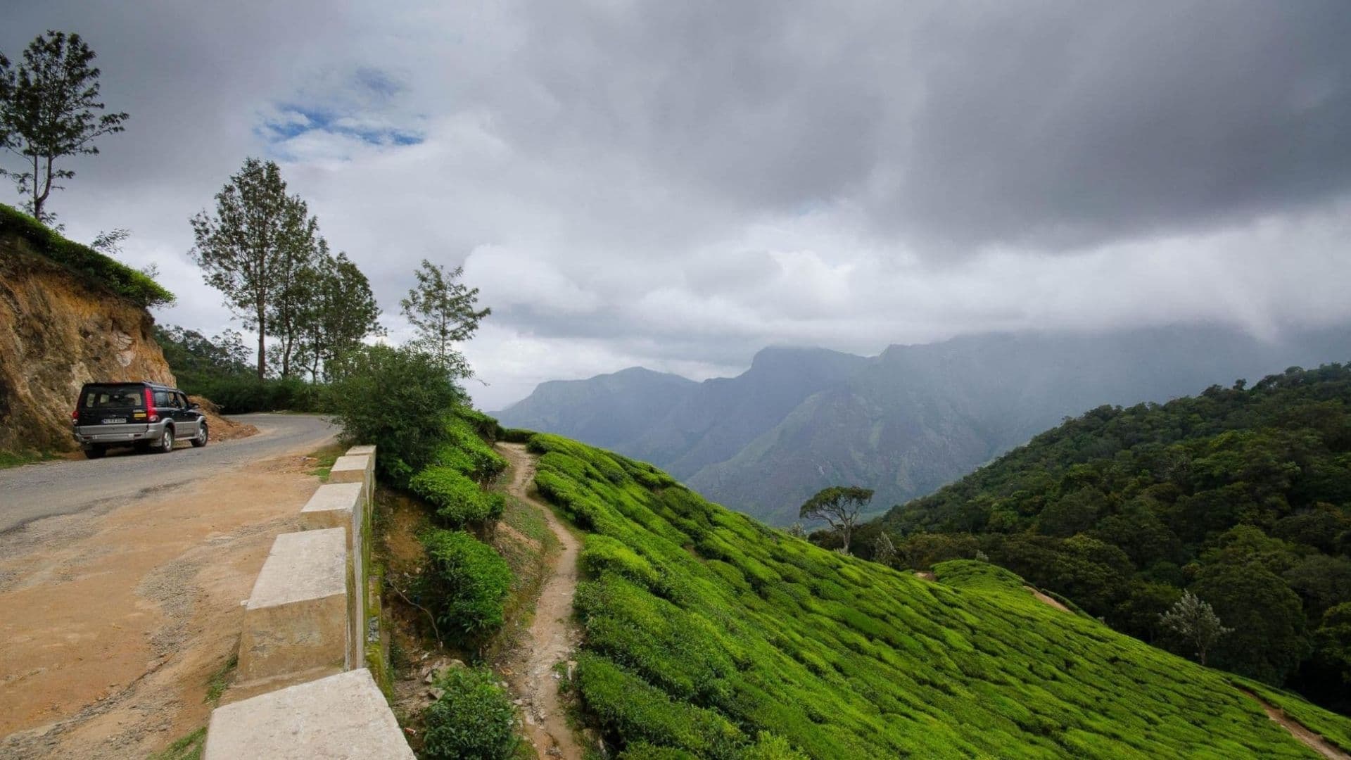 Munnar Gap Road View Point Road View Munnar Gap Road View Point Road View in Munnar Gap Road View Point, Munnar, Kerala