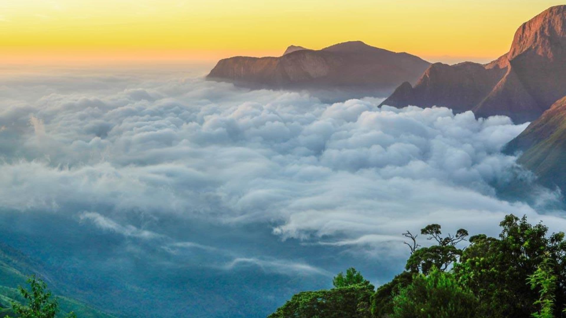 Munnar Top Station Images Cloud Bed Munnar Top Station Images Cloud Bed in Munnar Top Station images, Munnar, Kerala