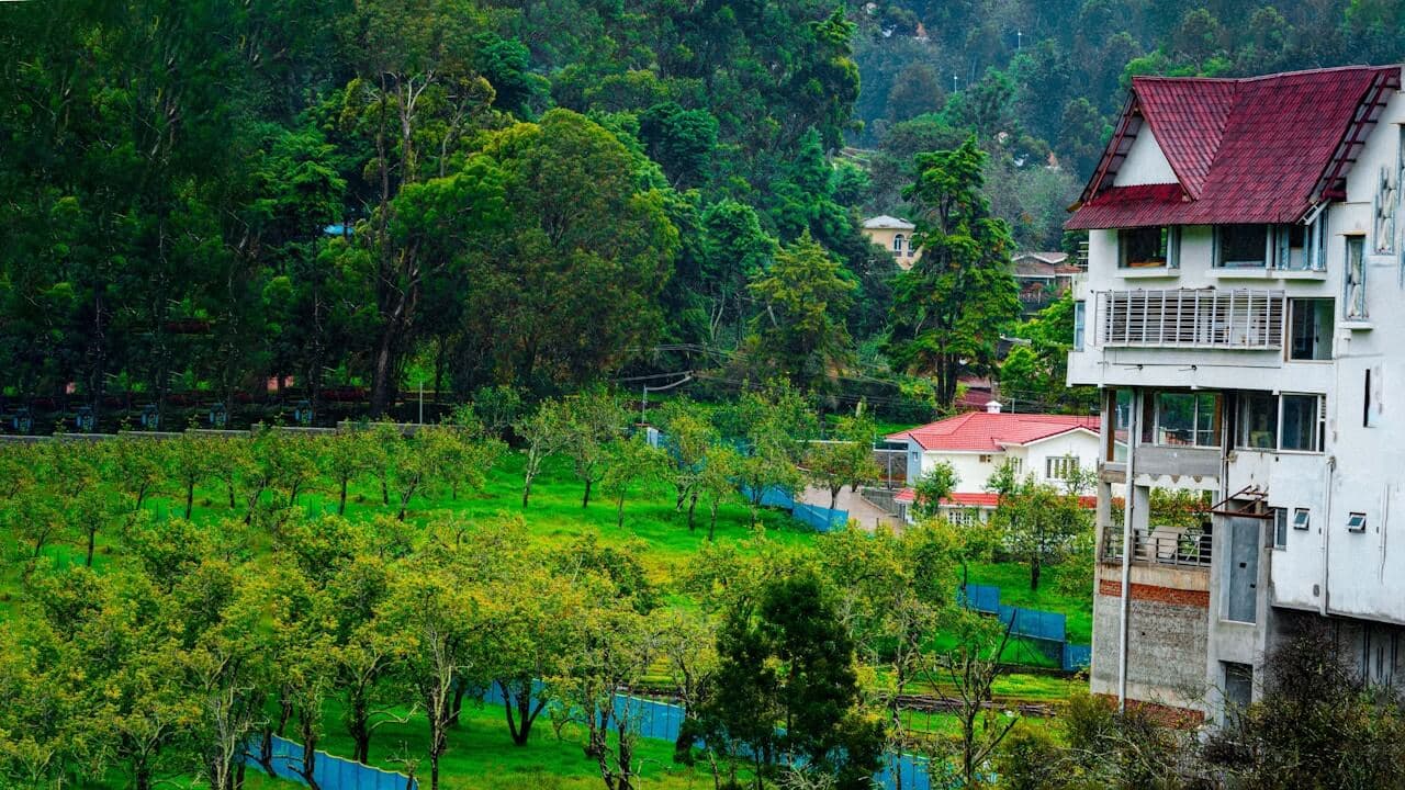 Tea Valley Resort
