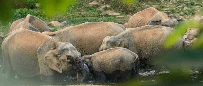 16 Best Places to Visit in Munnar with Family (UPDATED)
