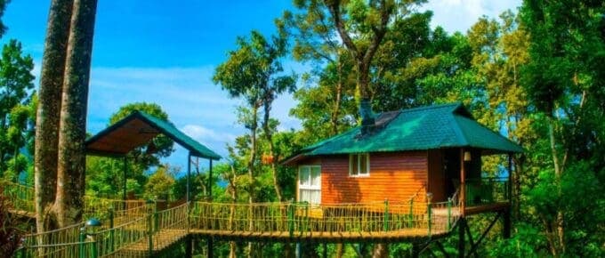 Which Area to Stay in Munnar? Best Areas for an Unforgettable Stay