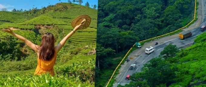 Munnar vs Wayanad: Which Kerala Hill Station Is Better for You in 2026?