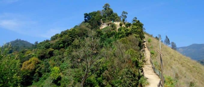 Top Station Munnar-Is It Worth It?