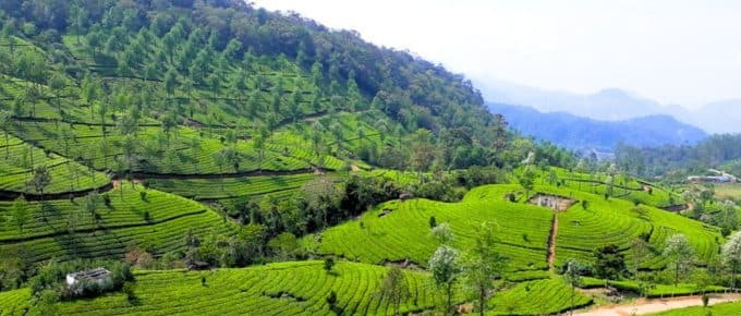 2nd Mile View point in Munnar-Complete Guide