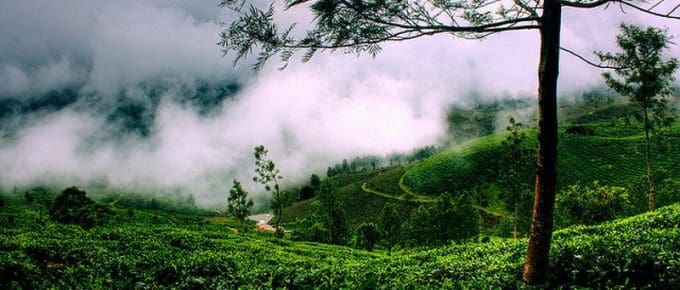 How to reach Munnar