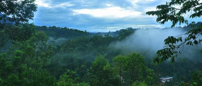 Romantic Things to see in Munnar