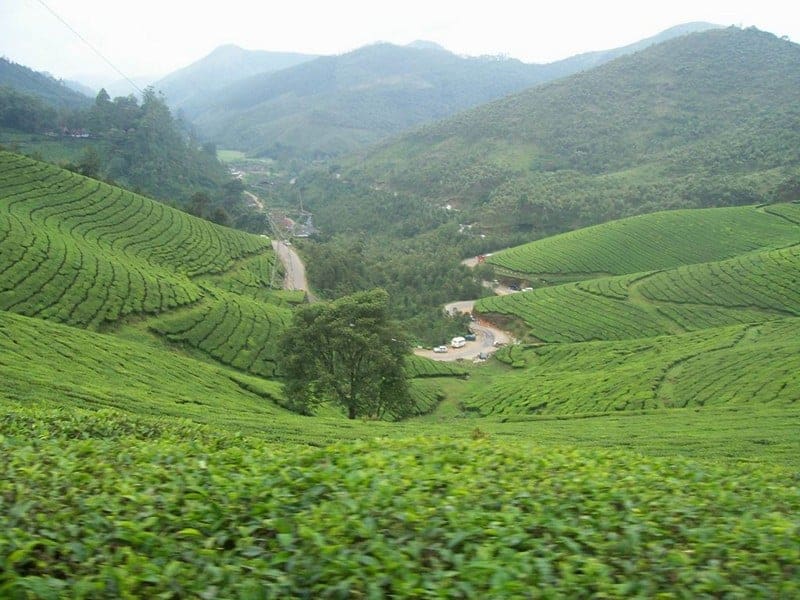 devikulam-munnar-tourism