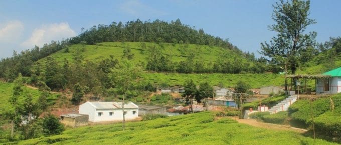 kolukumalai-tea-estate-view