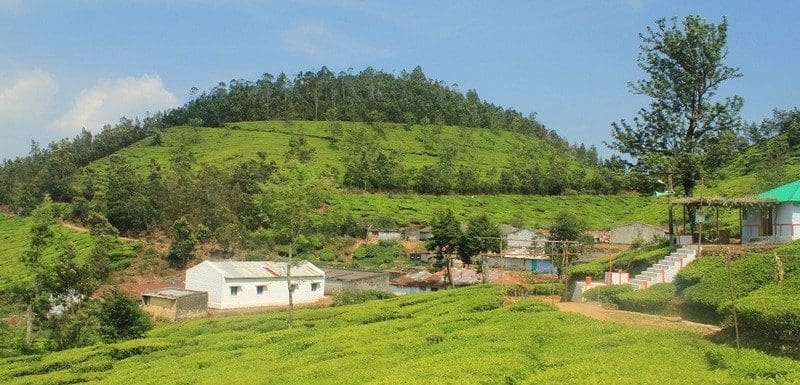 Kolukkumalai Tea Estate Munnar- Sunrise, Jeep Safari, Trekking & Travel Guide (2026)