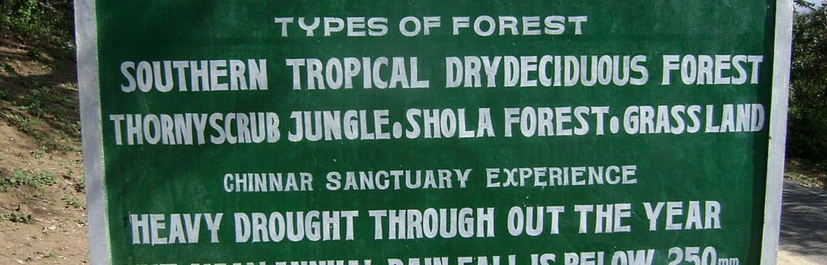 Chinnar Wildlife Sanctuary-Entry Fee, Photos, Timings & All you need to know