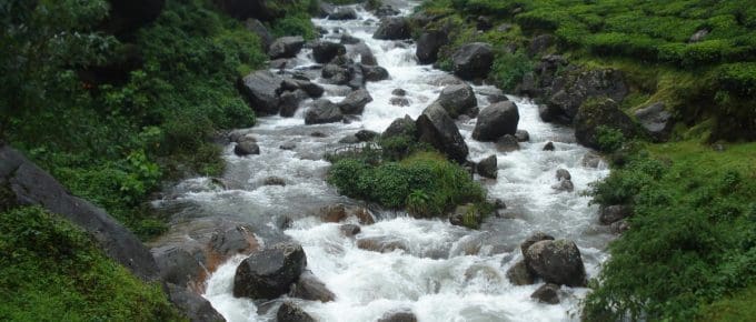Munnar in Summer