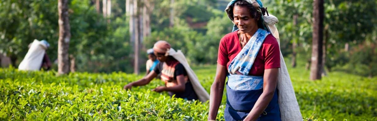 Dresses to wear in Munnar-The Ultimate Packing Guide
