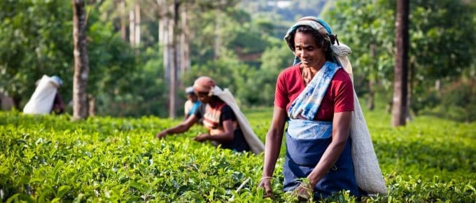 dresses-to-wear-in-munnar.jpg