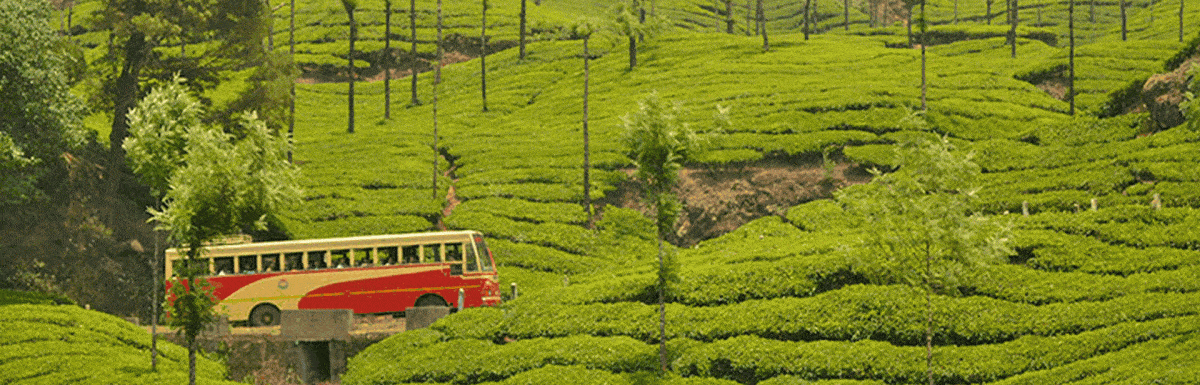 Kochi To Munnar- Taxi Fare, Distance, Travel Time & Sightseeing Tips