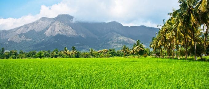 palakkad-kerala