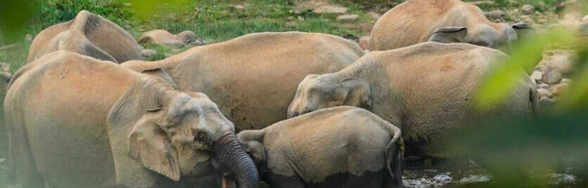 16 Best Places to Visit in Munnar with Family (UPDATED)