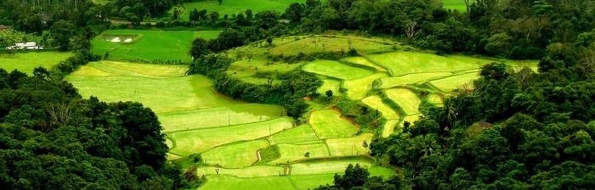 Coorg Or Munnar-Which Is Better For A Trip Now?