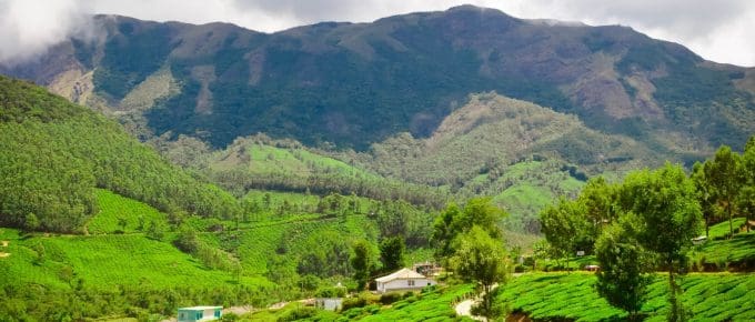 photo-point-munnar