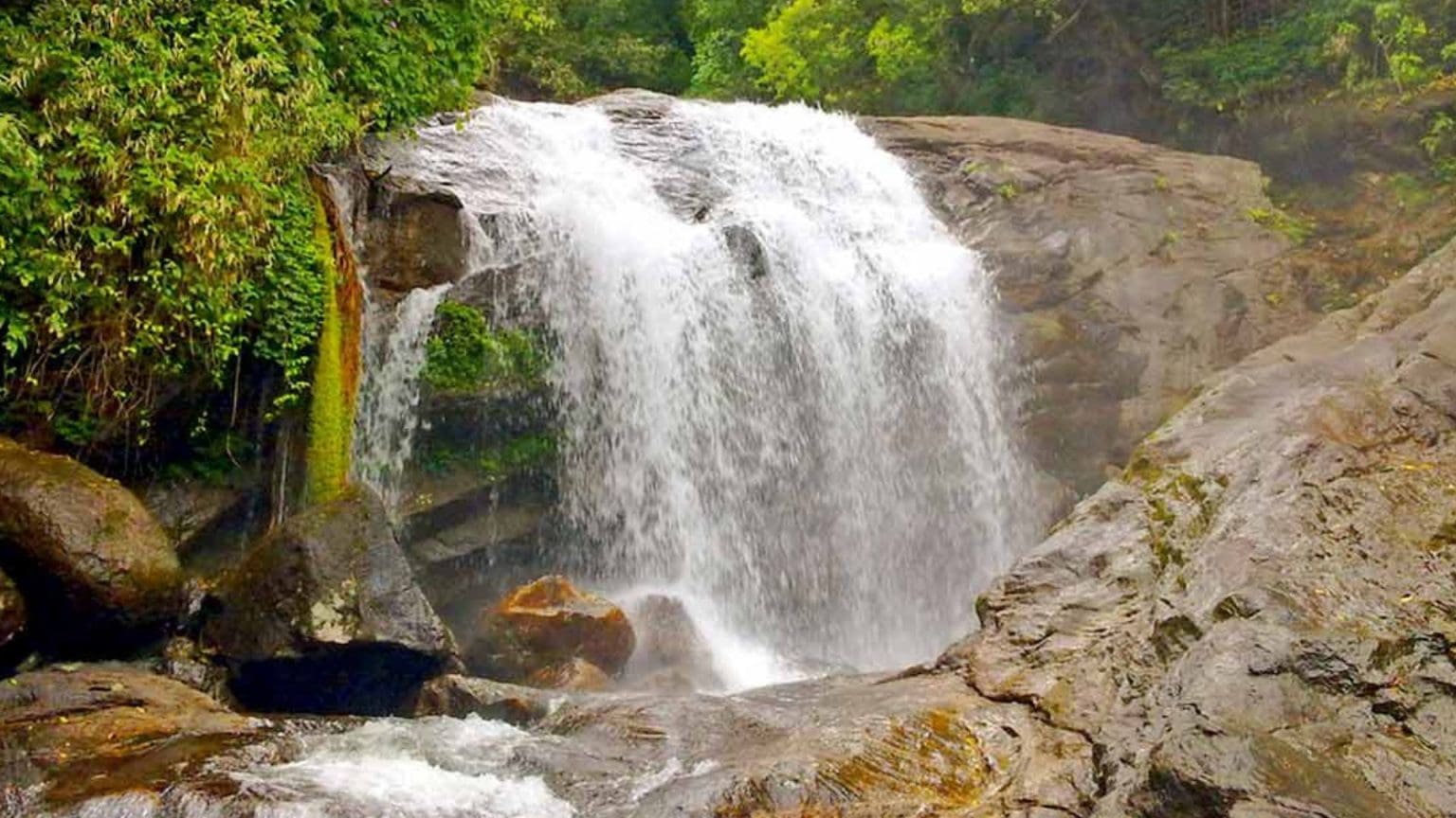 16 Best Places to Visit in Munnar with Family (UPDATED) | Munnar ...