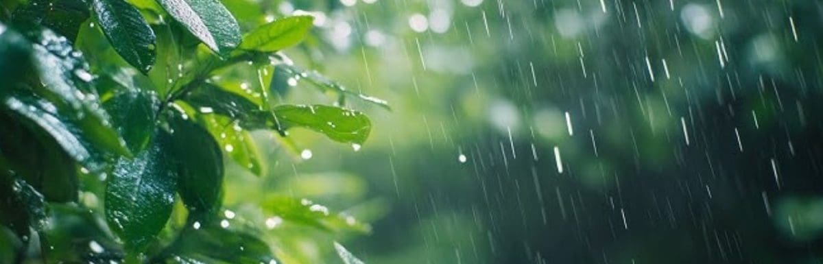 How To Enjoy The Rainy Season In Kerala
