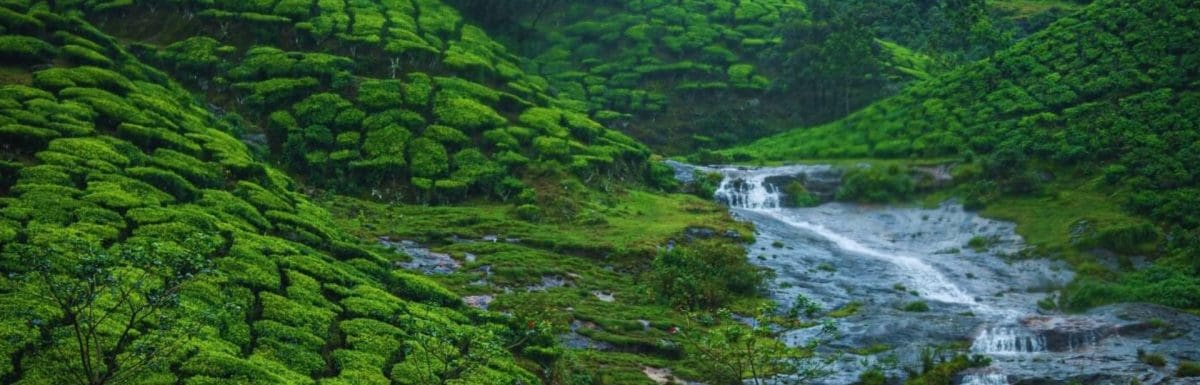 Munnar in December: Your Complete Travel Guide to India’s Coolest Hill Station 2026