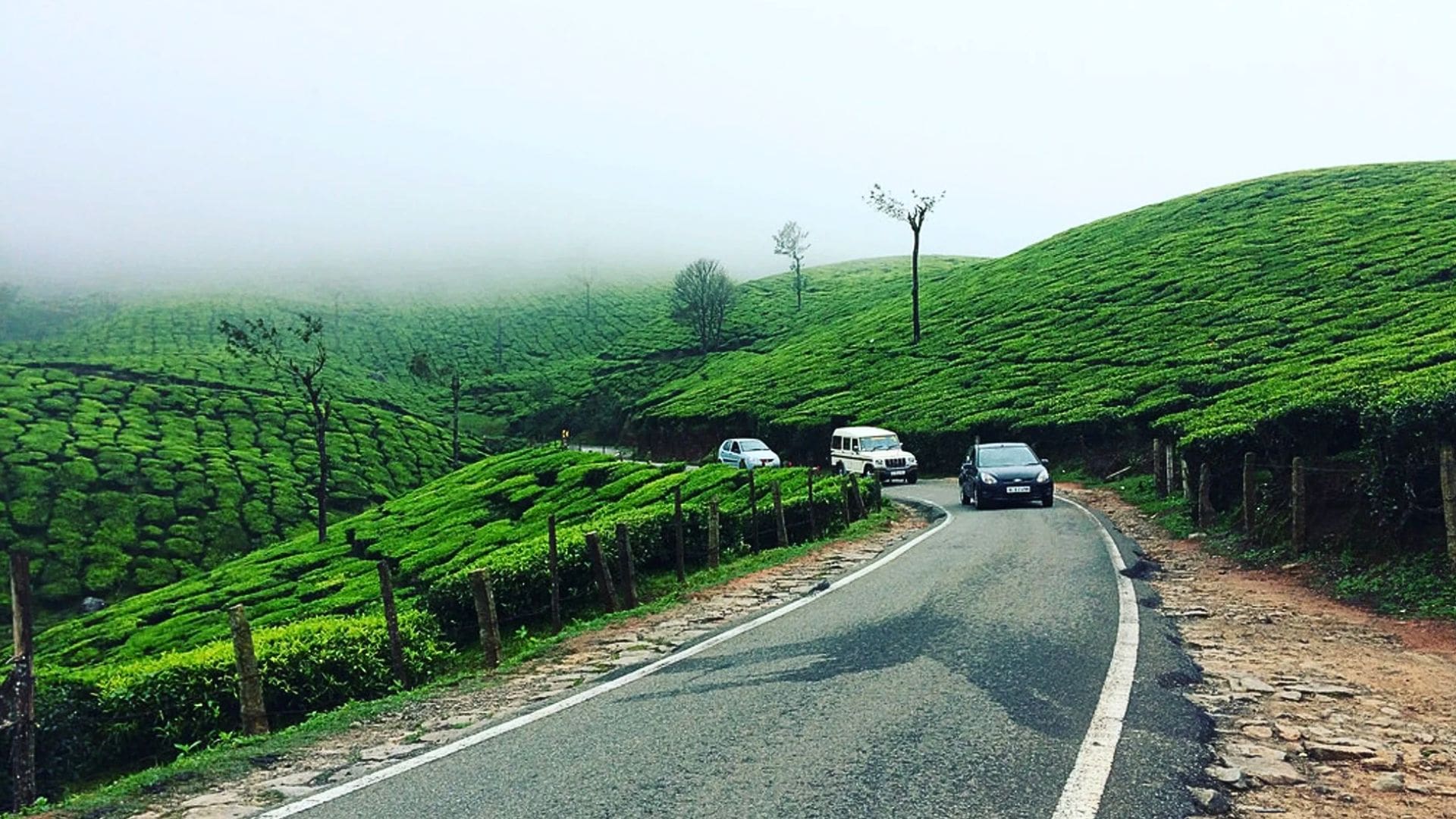 gap-road-munnar