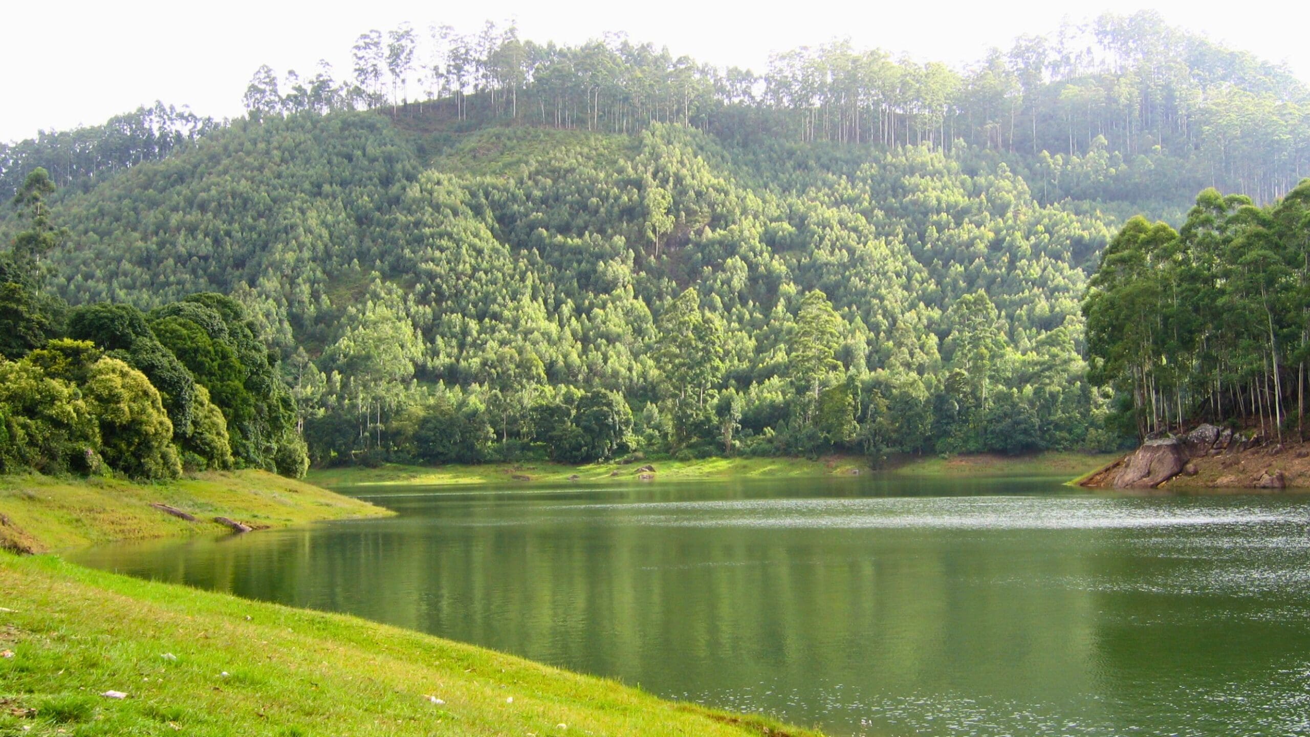 devikulam-munnar