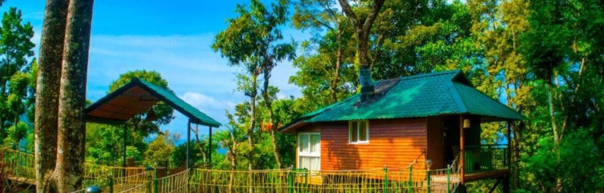 Which Area to Stay in Munnar? Best Areas for an Unforgettable Stay