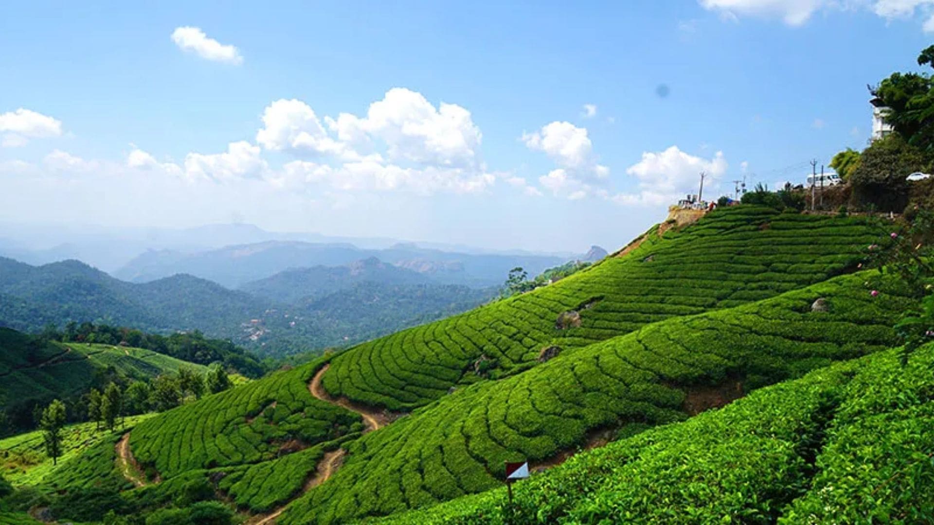 monsoon-in-munnar