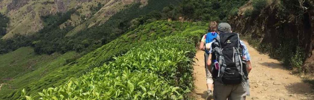 Bose Peak Trek-Difficulty, Route, Permit & Camping Guide